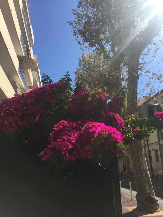 Jardins Du Pont Du Lys Apartment Juan-les-Pins Ngoại thất bức ảnh